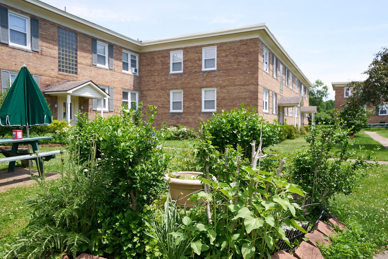 Mohawk Garden Your Home In Rome.